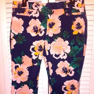 Banana Republic Cropped Petite